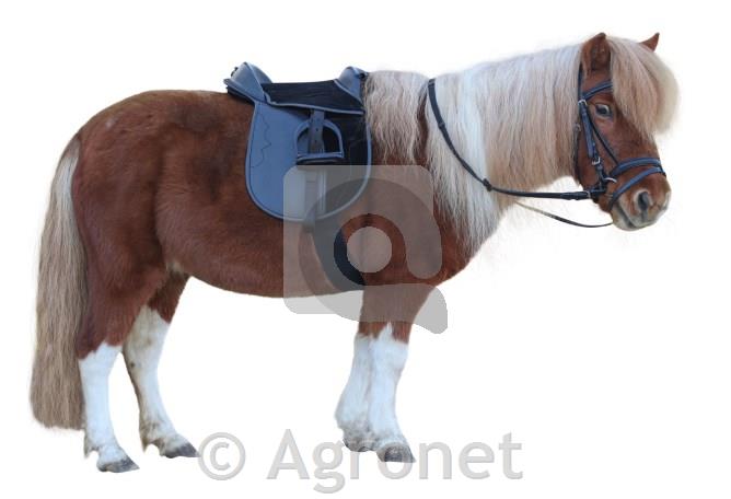 Sedlo set Economy Pony