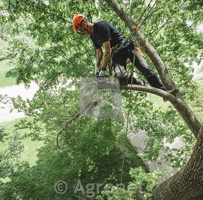 Motorna žaga MS 194 T, meč 35 cm STIHL
