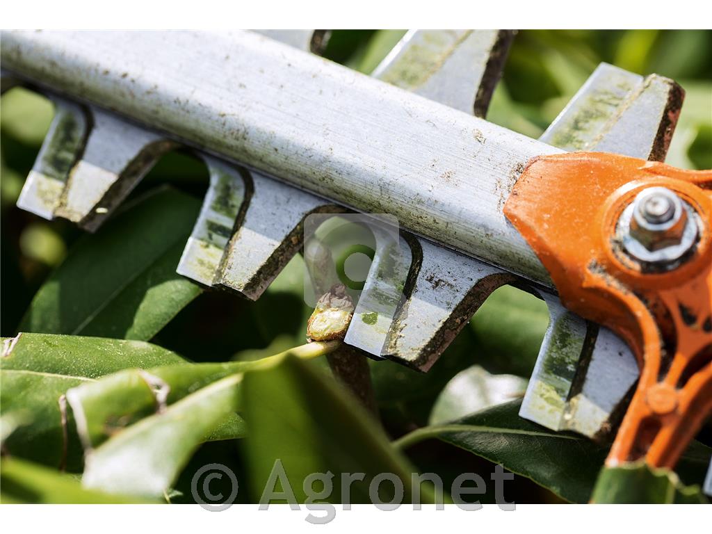 Motorne škarje za živo mejo HS 82 T, 75 cm STIHL
