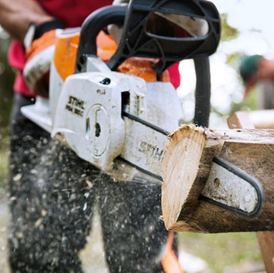 Akumulatorska žaga MSA 160 C-B, meč 30cm STIHL