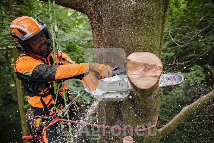 Akumulatorska žaga MSA 220 TC-O, meč 35 cm STIHL