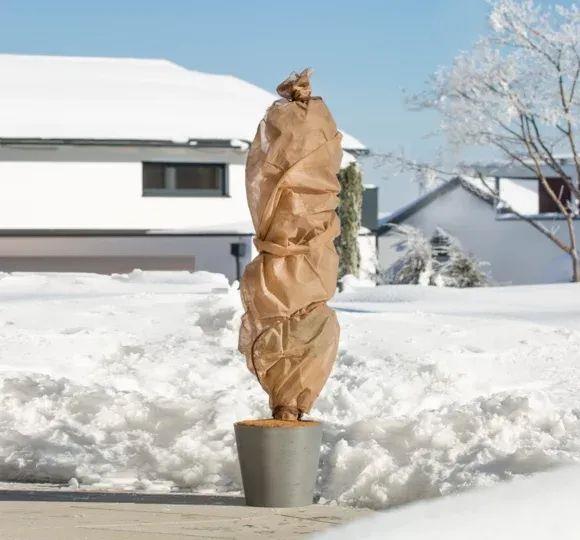 Zimska koprena, 5 x 1,5 m, 25 g/m2, 3 kos