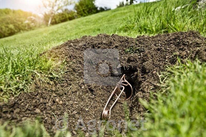 Past za krte, žična 2 kosa