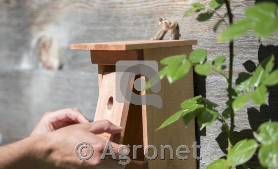 Windhager valilnica za ptice Birdy, lesena