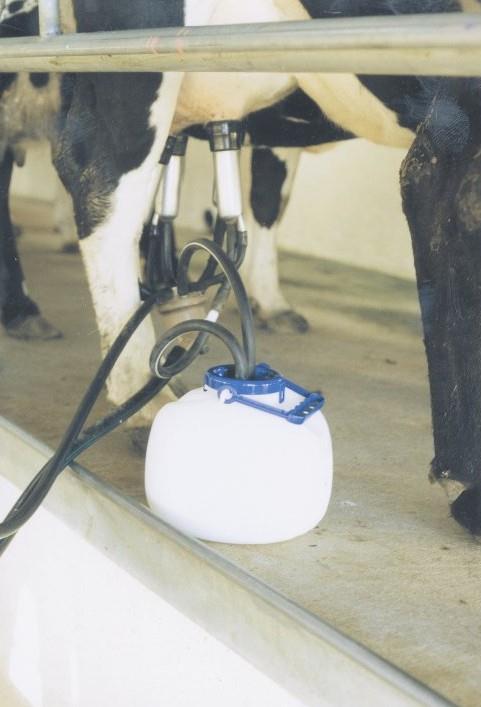 Molznik SHOOF Quartermilker 8 L