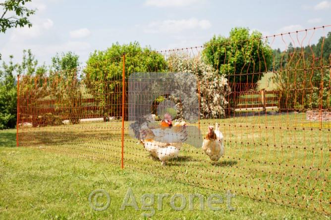 Mreža PoultryNet (dvojna konica) 106cm, 50m