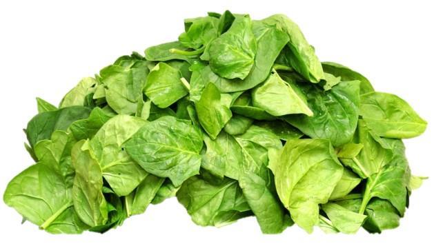Špinača