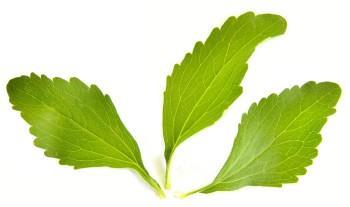 Stevia