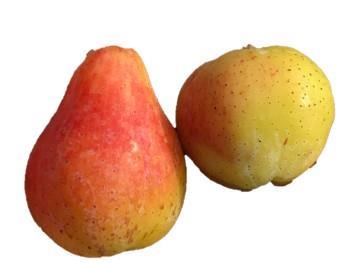Skorš