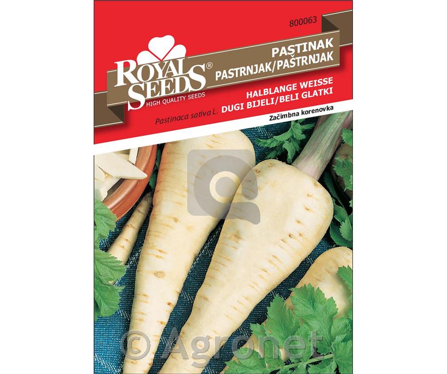 Pastinak