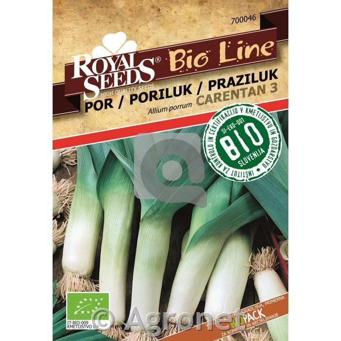 Čebulnice