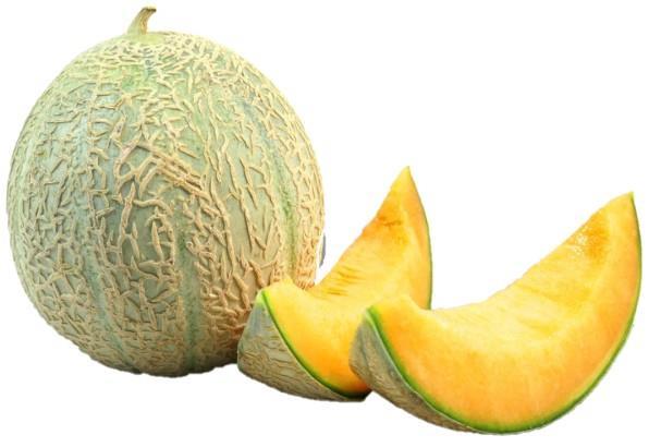 Melone