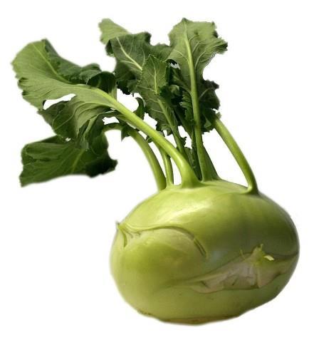 Koleraba