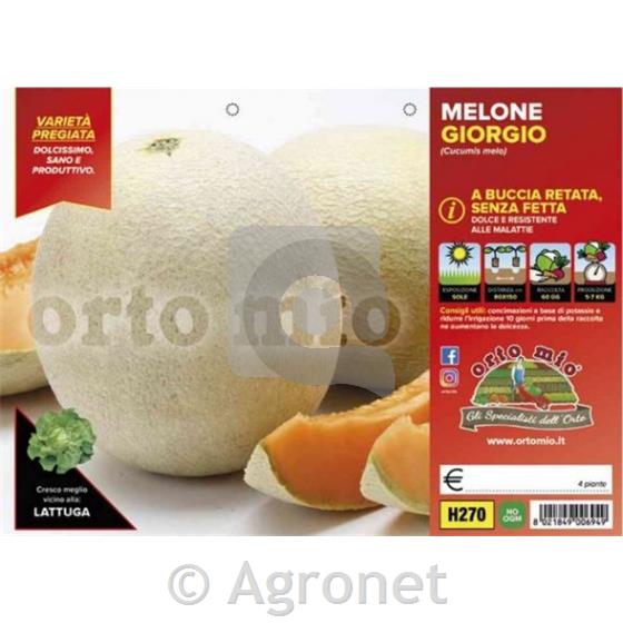 Melona Giorgio F1, 4 kos