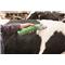 Električne škarje za govedo - Constanta4 400W (31/15)